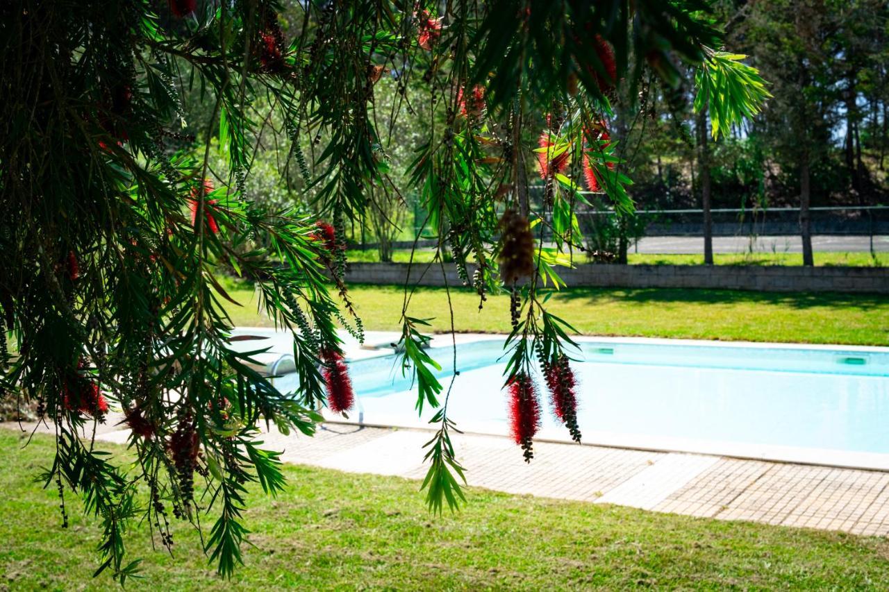 Hotel Rural Quinta Do Juncal Serra d'El-Rei Екстериор снимка