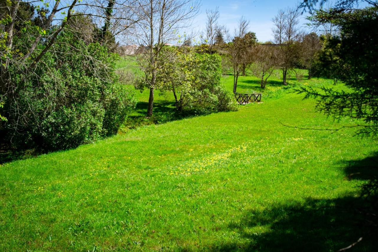 Hotel Rural Quinta Do Juncal Serra d'El-Rei Екстериор снимка